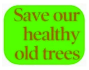 SaveHealthyOldTrees