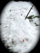 snowman14dec09demise