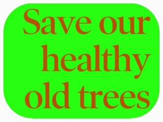 SAVEOURHEALTHYOLDTREES