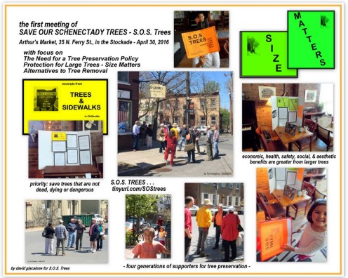 SOSTrees1stMtgCollage