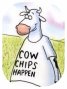 casinocowchips