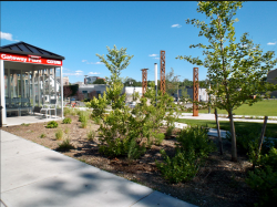 LadyLibertySpot25Jun1