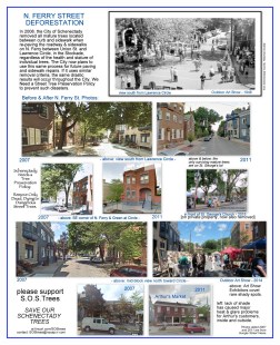 nferrydeforestation3