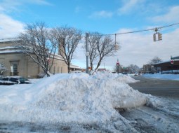 Jay at Liberty - P.O.