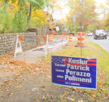 ardsley-campaignsign