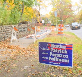 ardsley-campaignsign