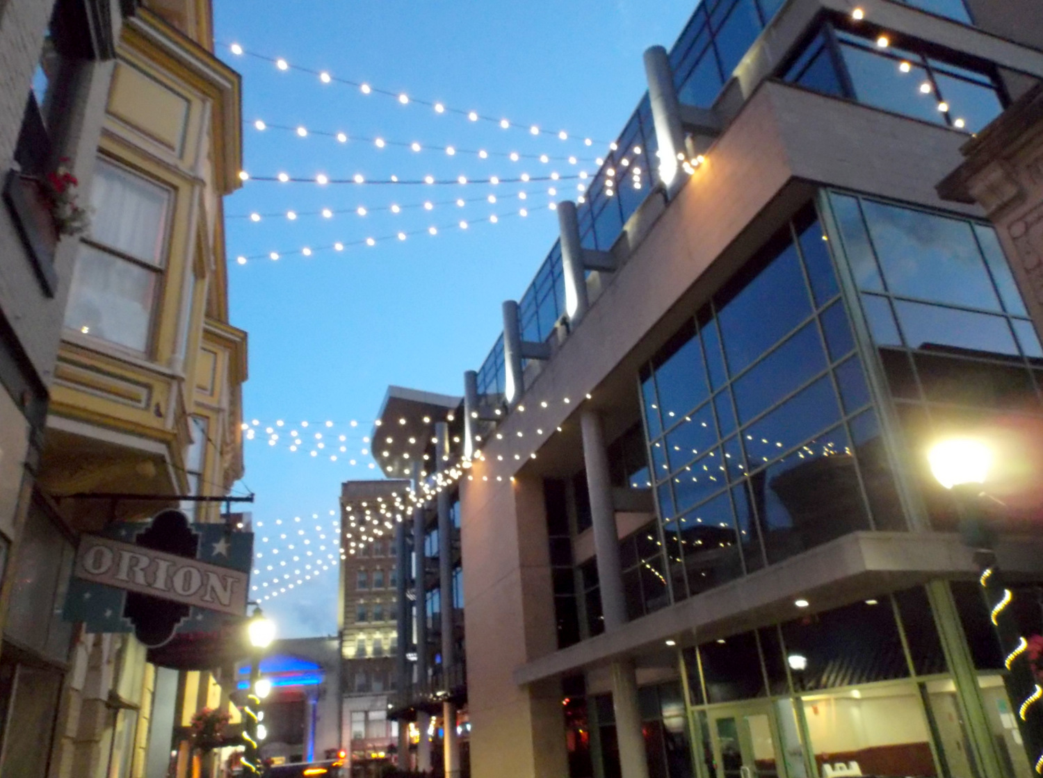 CanopyLights-JayStMall2